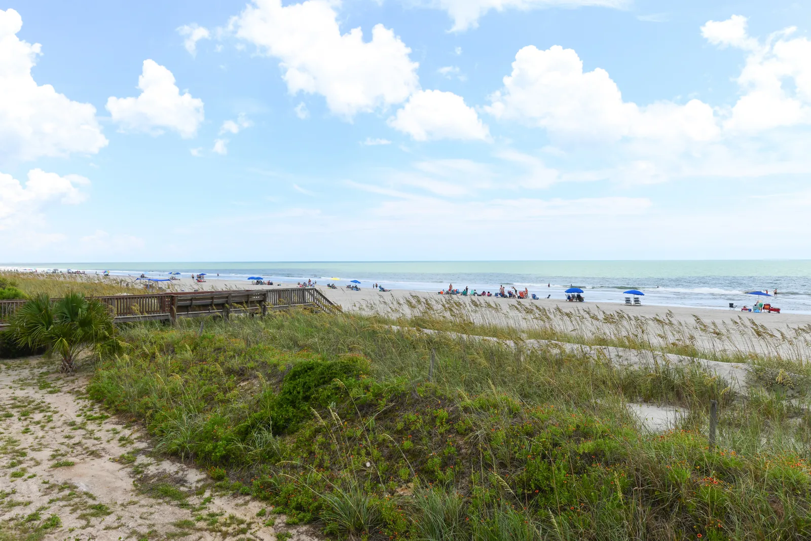 Cape Coddages I 109 photo 23