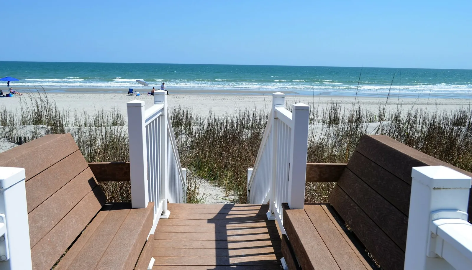 Sandfiddler 102 photo 23