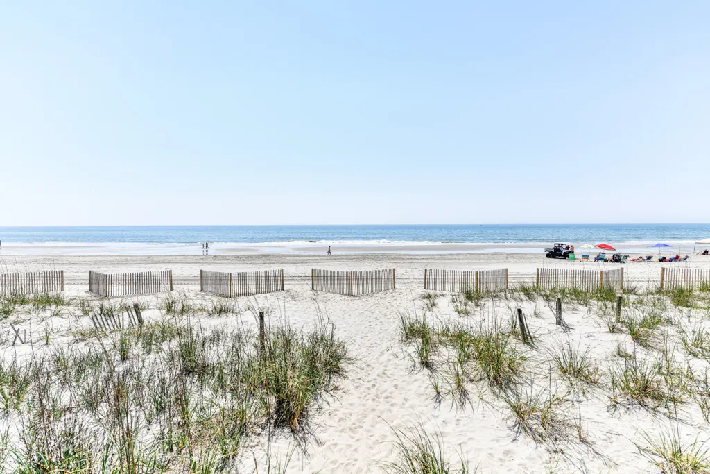 Sea Shadow 406 photo 6