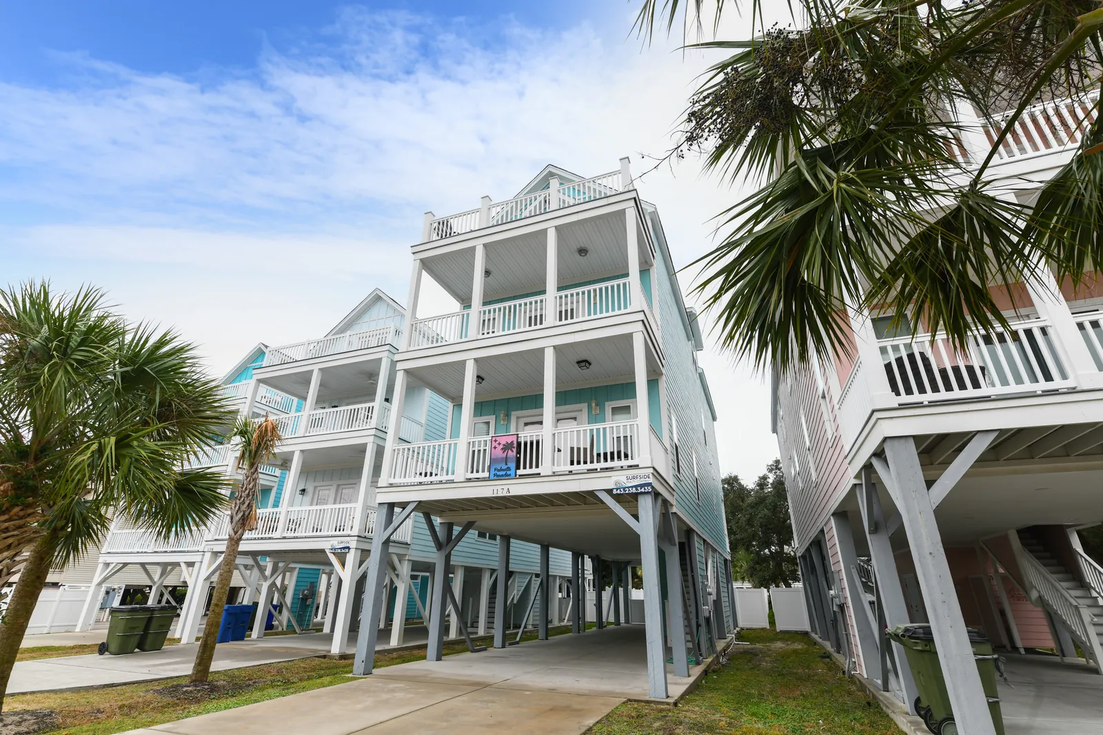 Palmetto Paradise photo 2