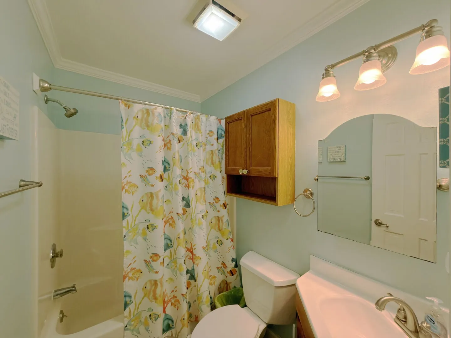 Sea Shadow 203 photo 15