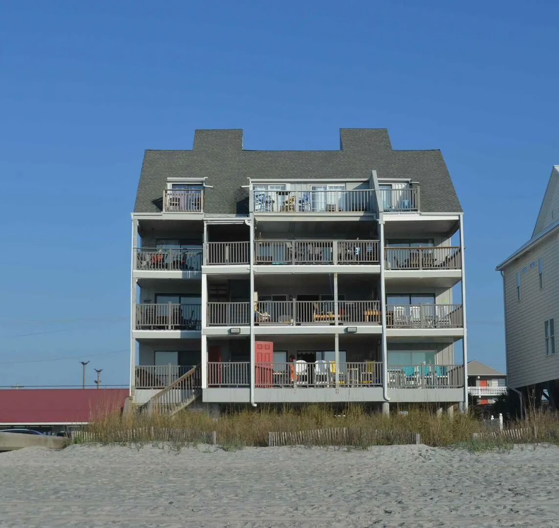 Sand Dollar 101 photo 18