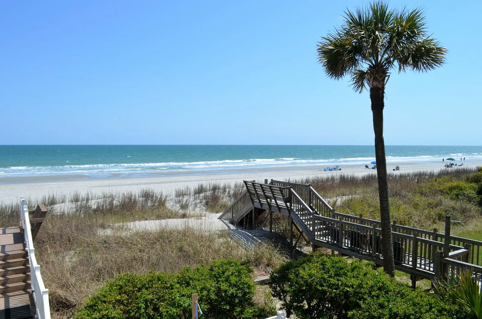 Sandfiddler 103 photo 16