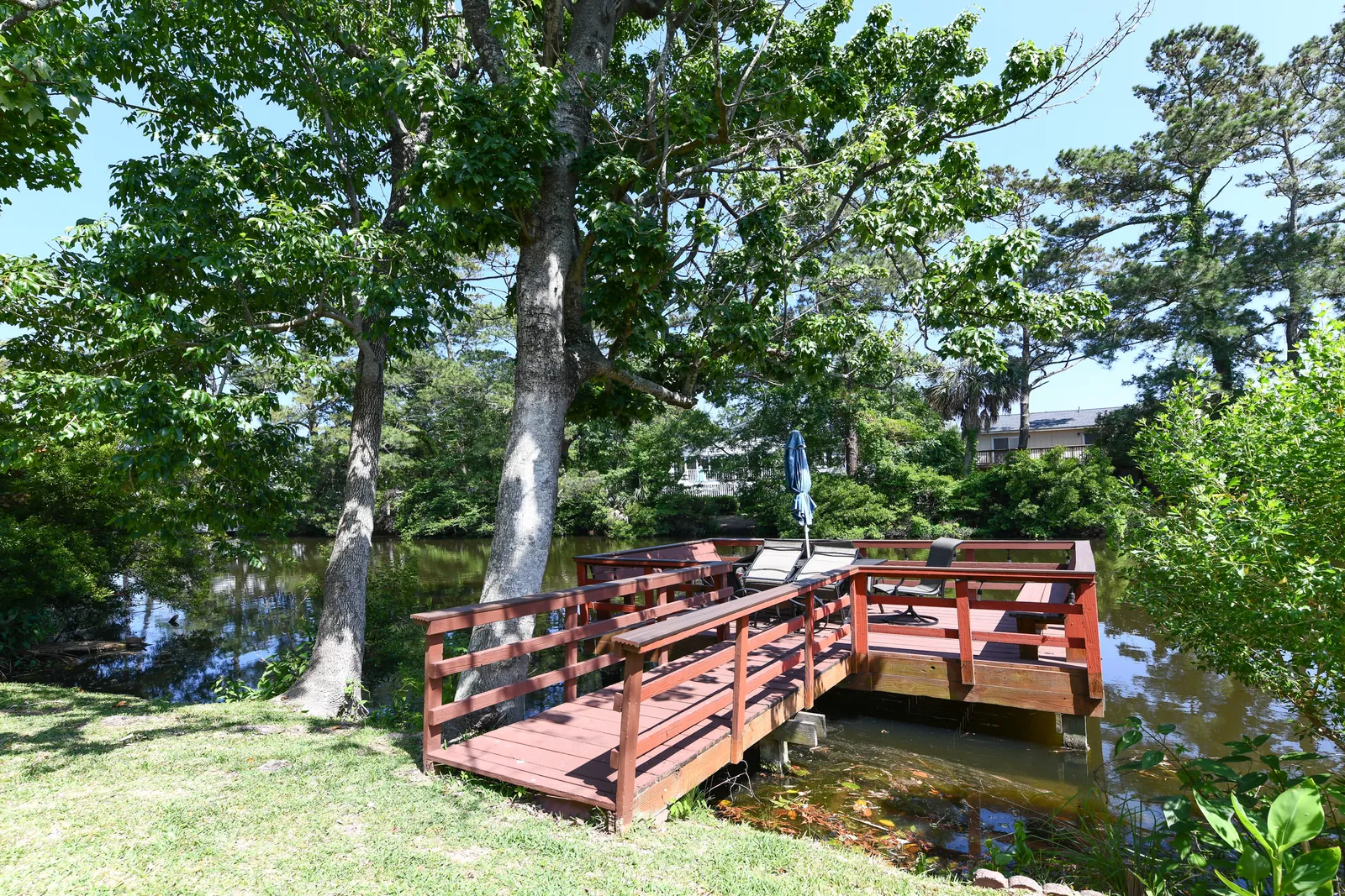 Dottie's Place photo 17