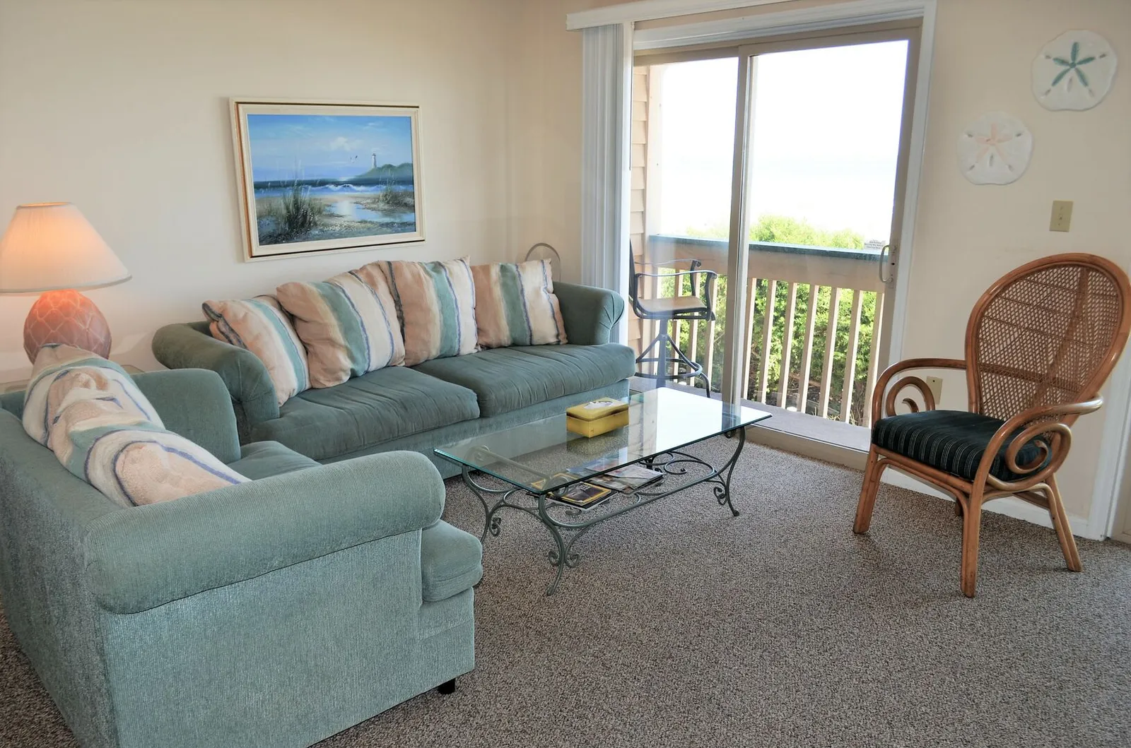 Sandfiddler 103 photo 3