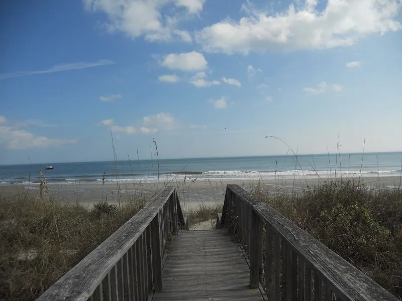 Shore to Please photo 8