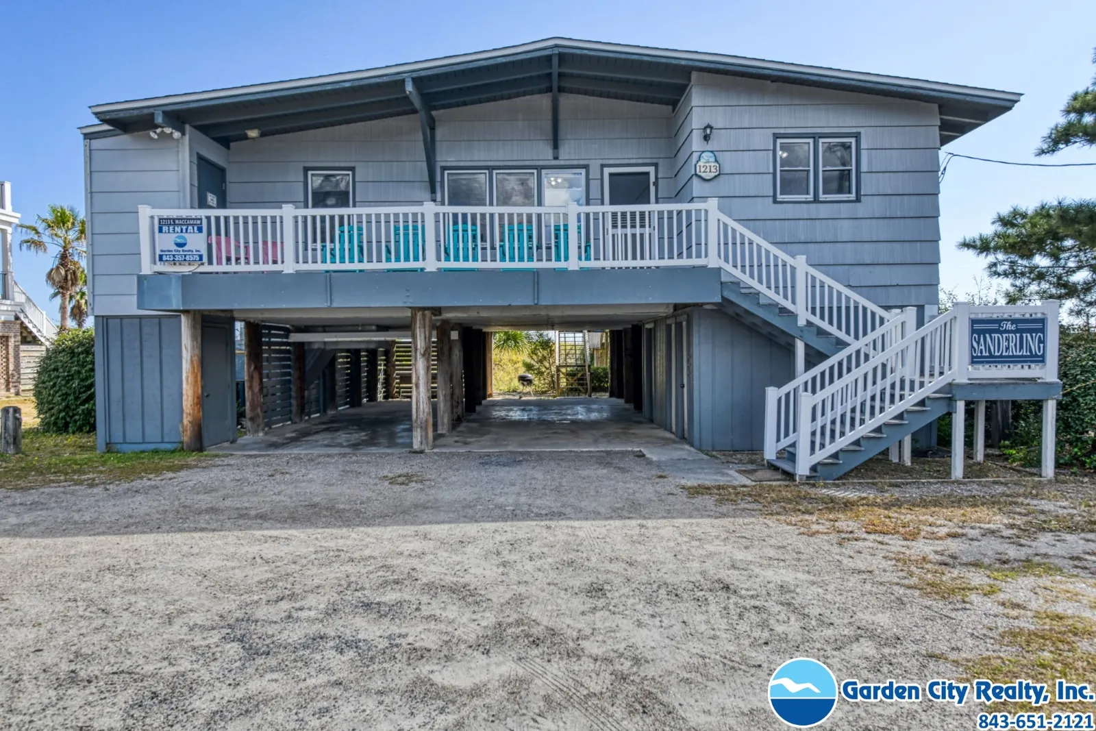 Sanderling photo 2