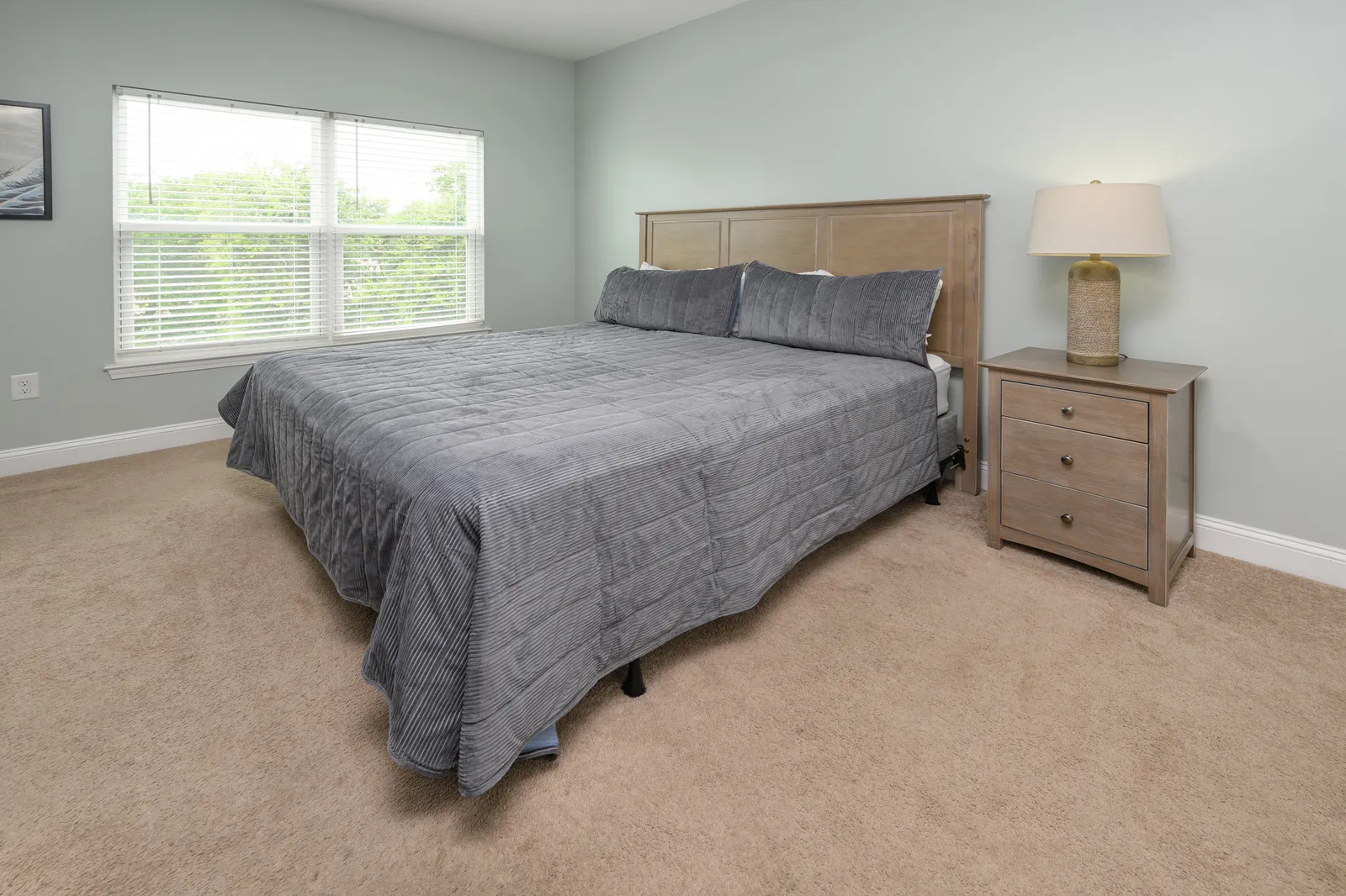 Palmetto Paradise photo 19