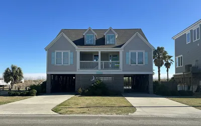 Palmetto Moon