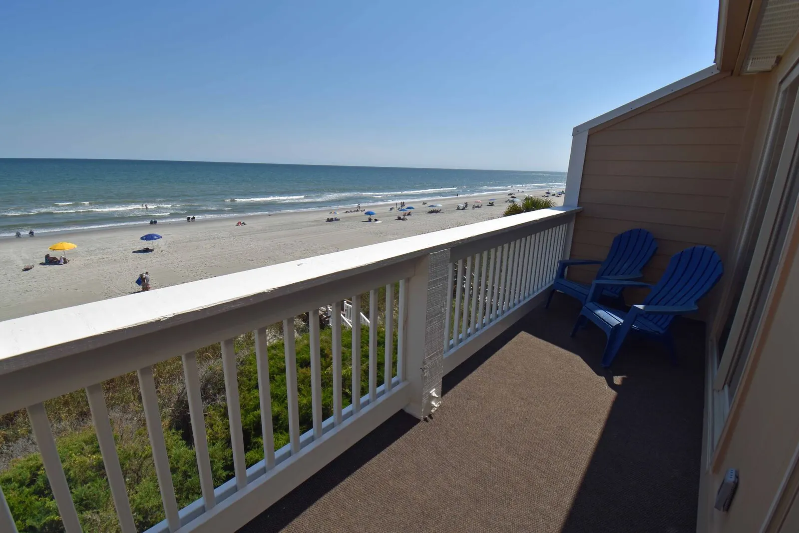 Sandfiddler 301 photo 7
