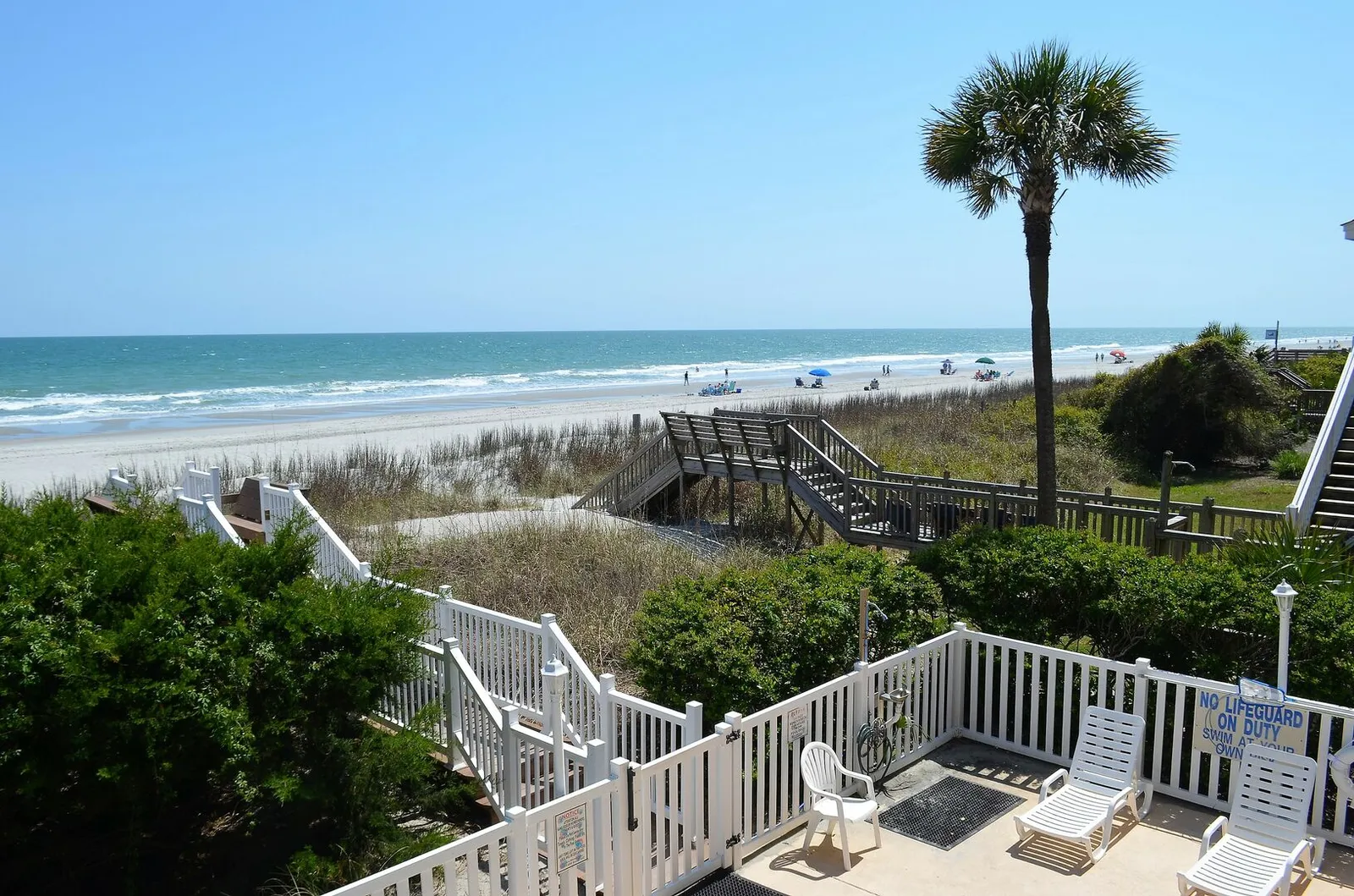 Sandfiddler 102 photo 17