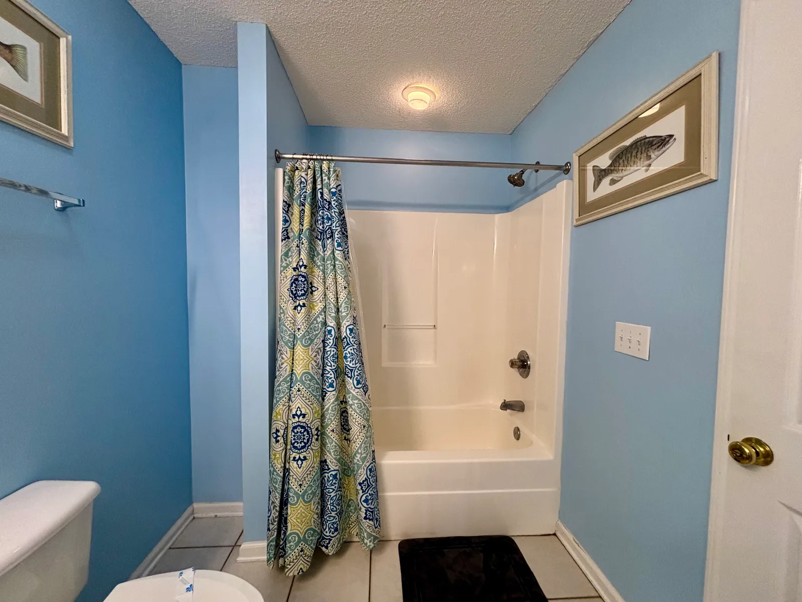 A Beach Day photo 20