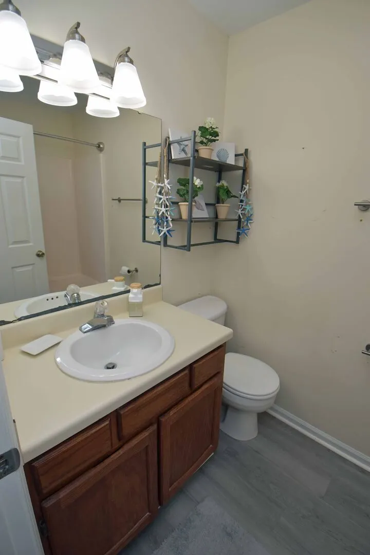 Sandfiddler 301 photo 14