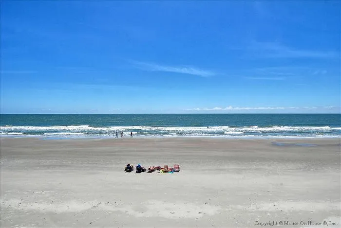 Footprints "IN" The Sand photo 15