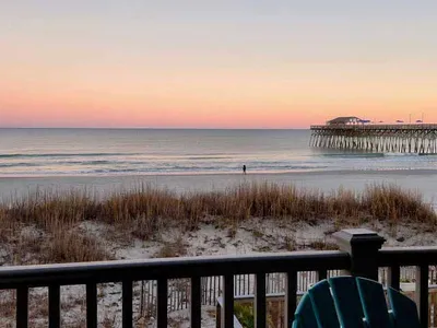Sand Dollar 101