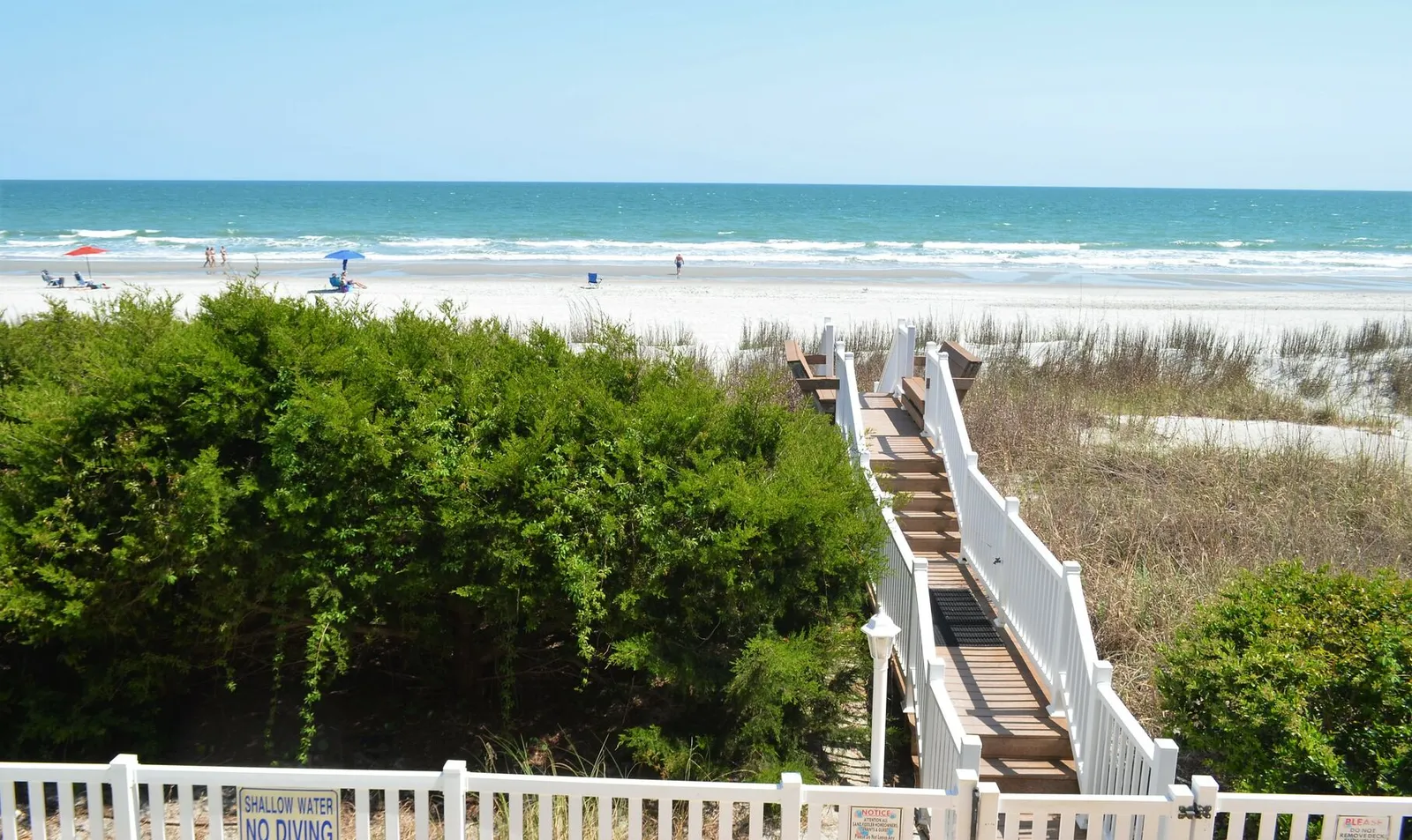Sandfiddler 102 photo 22