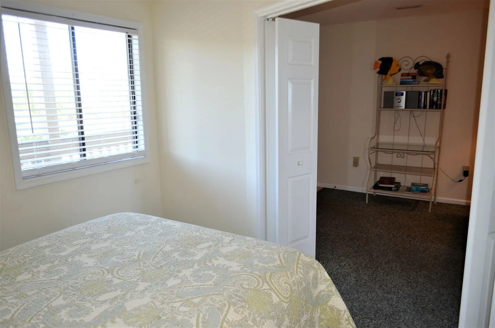 Sandfiddler 102 photo 14