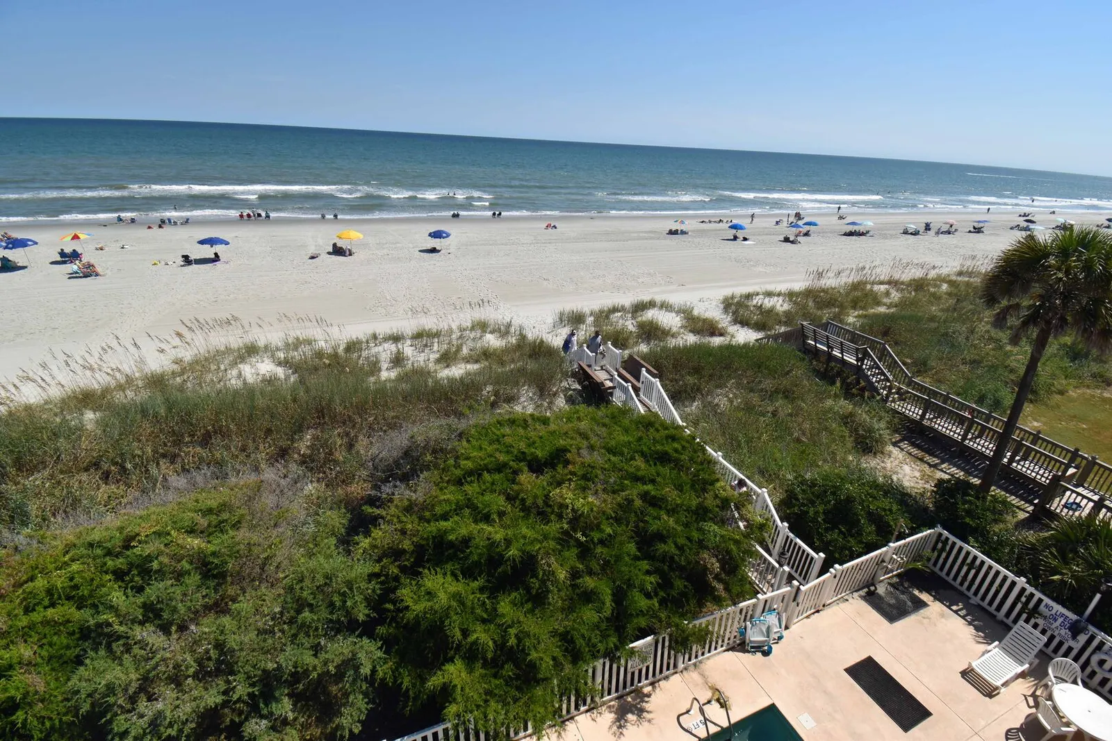 Sandfiddler 301 photo 9