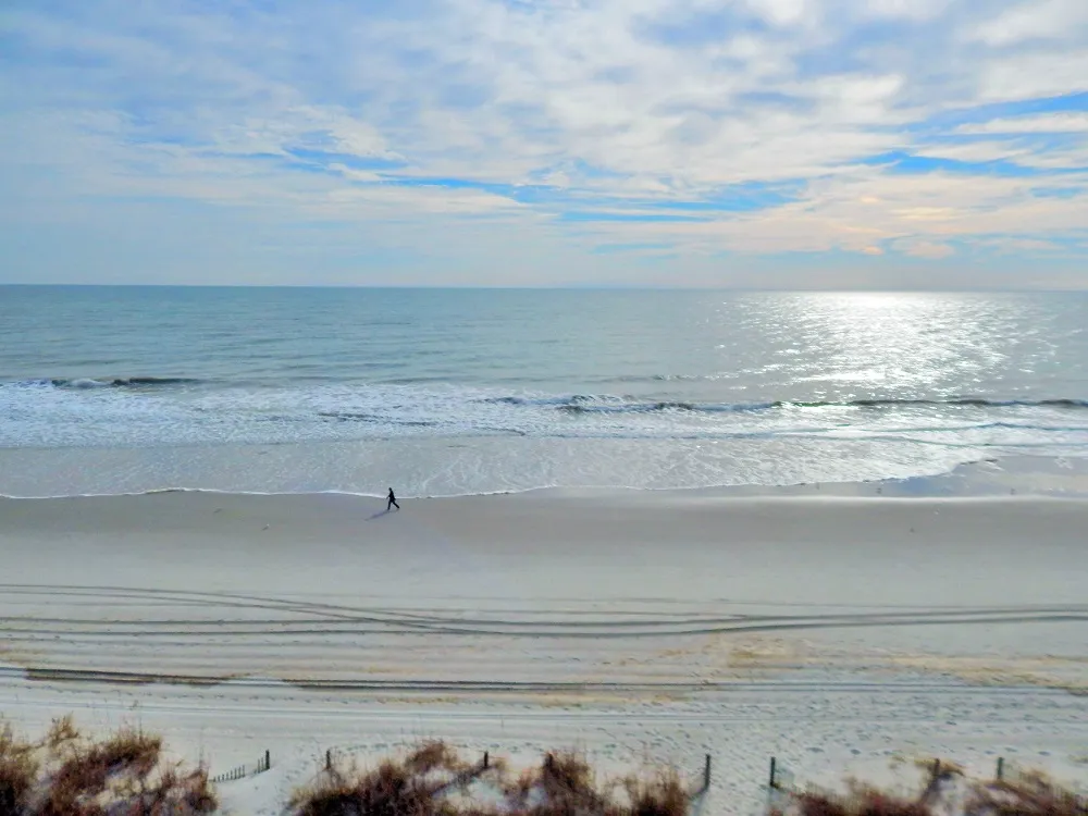 Sea Mystique 401 photo 23