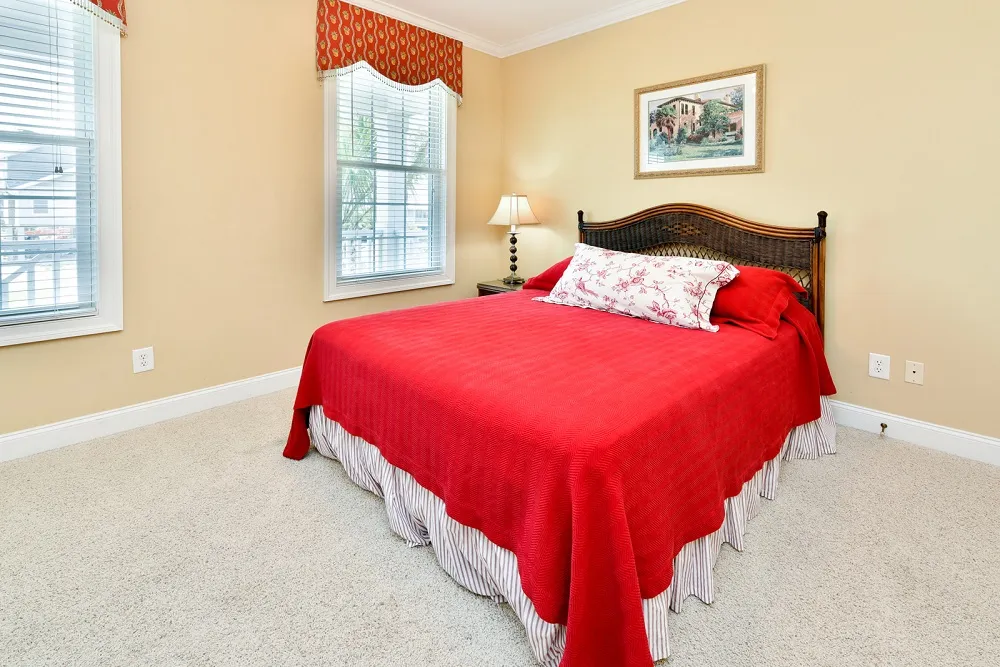 Southern Belle photo 15