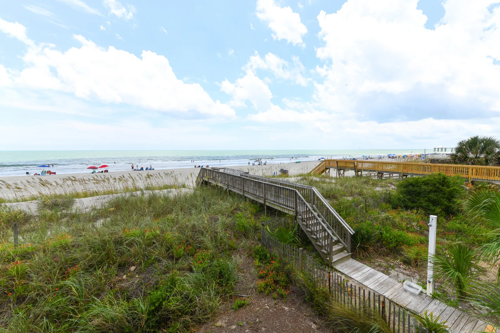 Cape Coddages I 109 photo 24