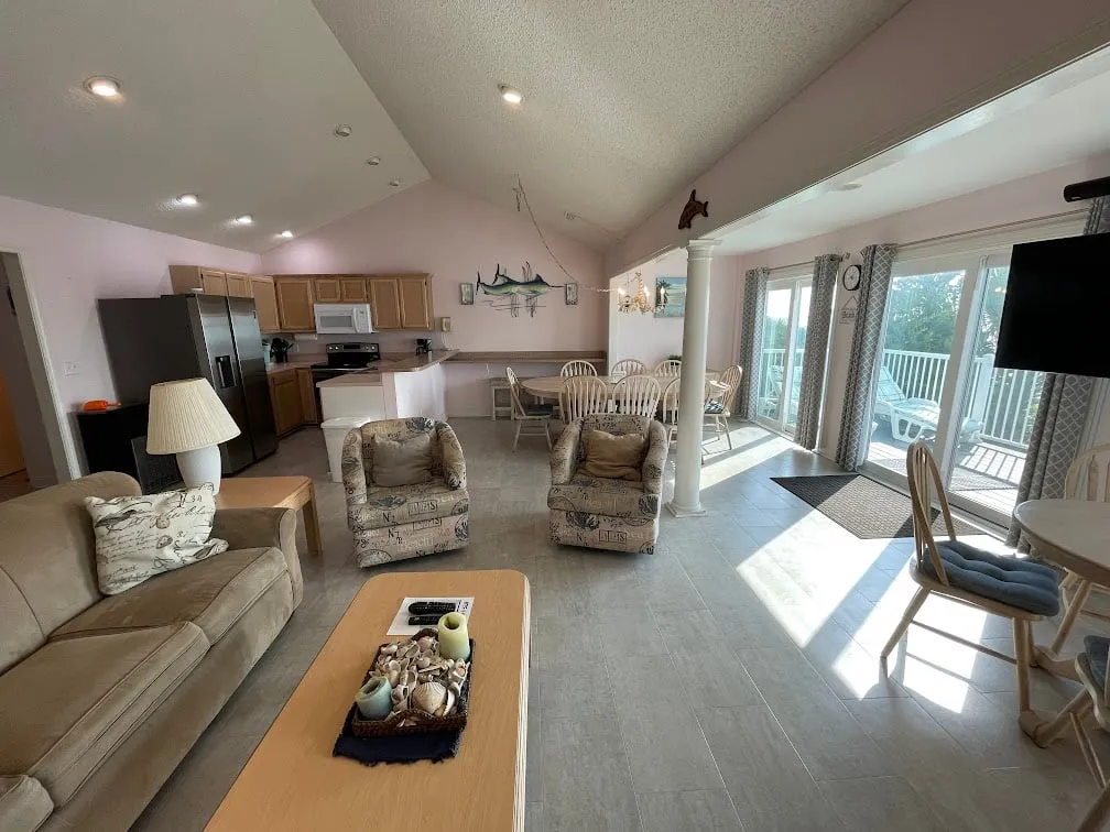 Dolphins Dance photo 3