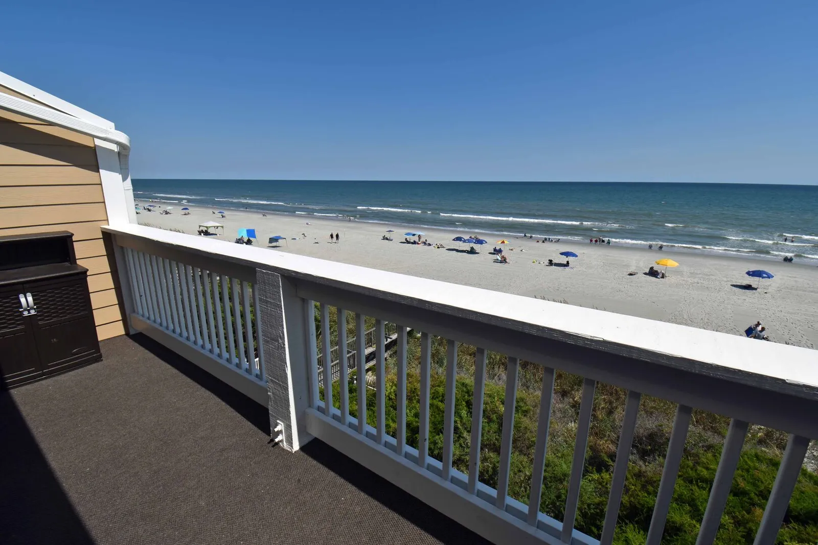 Sandfiddler 301 photo 8