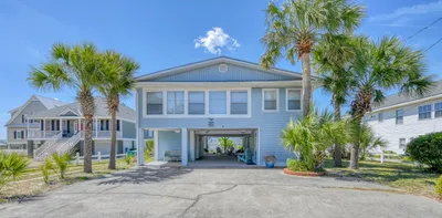 Carolina Palms