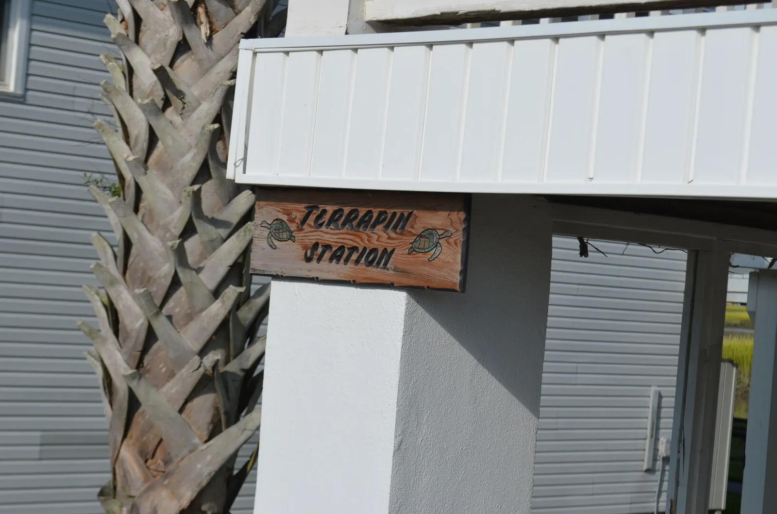 Terrapin Station photo 2