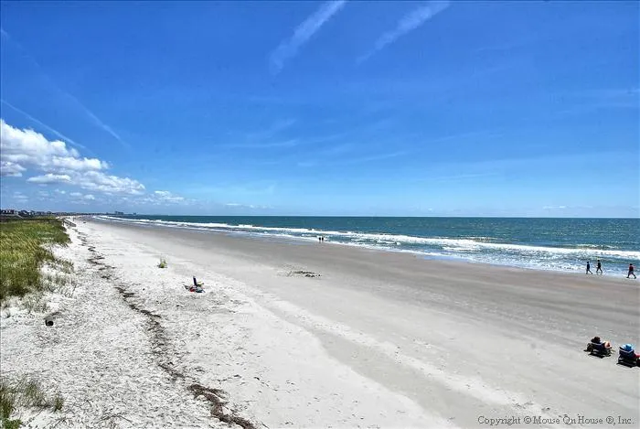 Footprints "IN" The Sand photo 14
