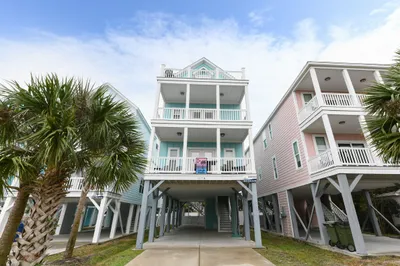 Palmetto Paradise