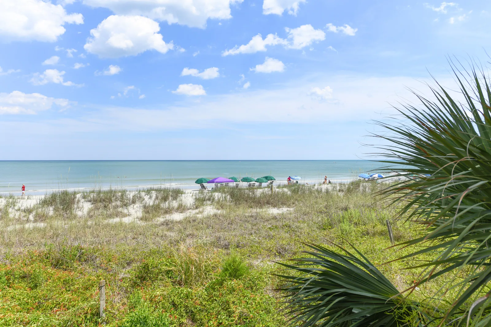 Shores of Surfside II 107 photo 23