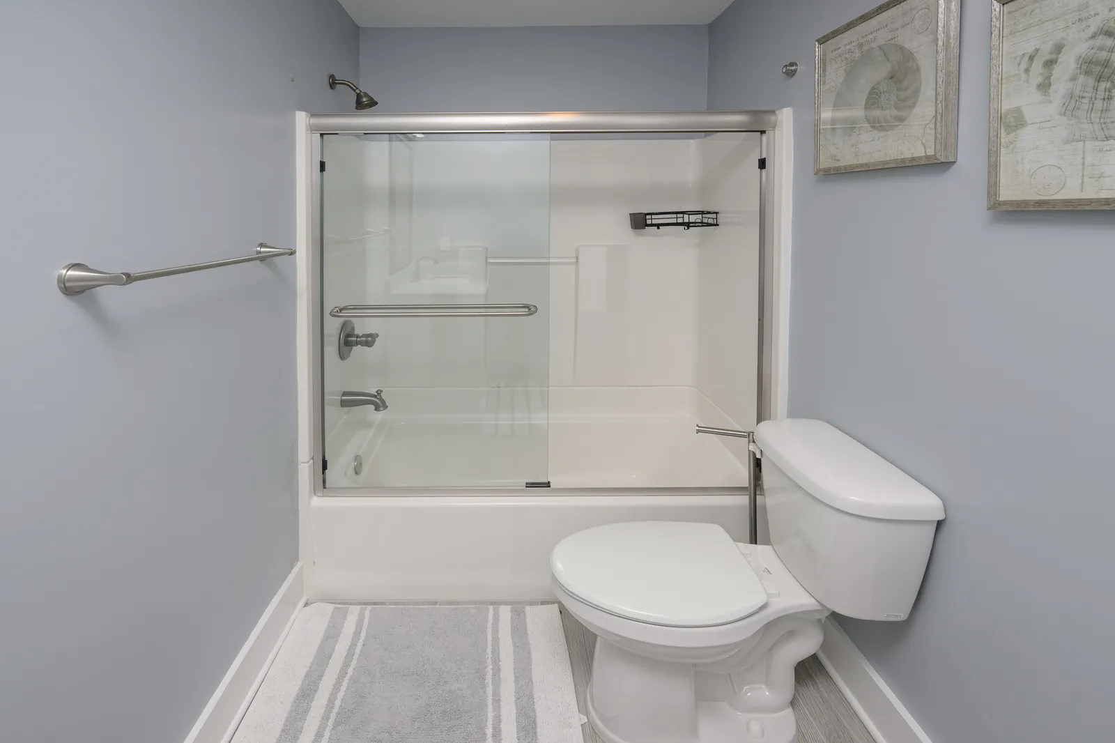Sun Dog photo 20