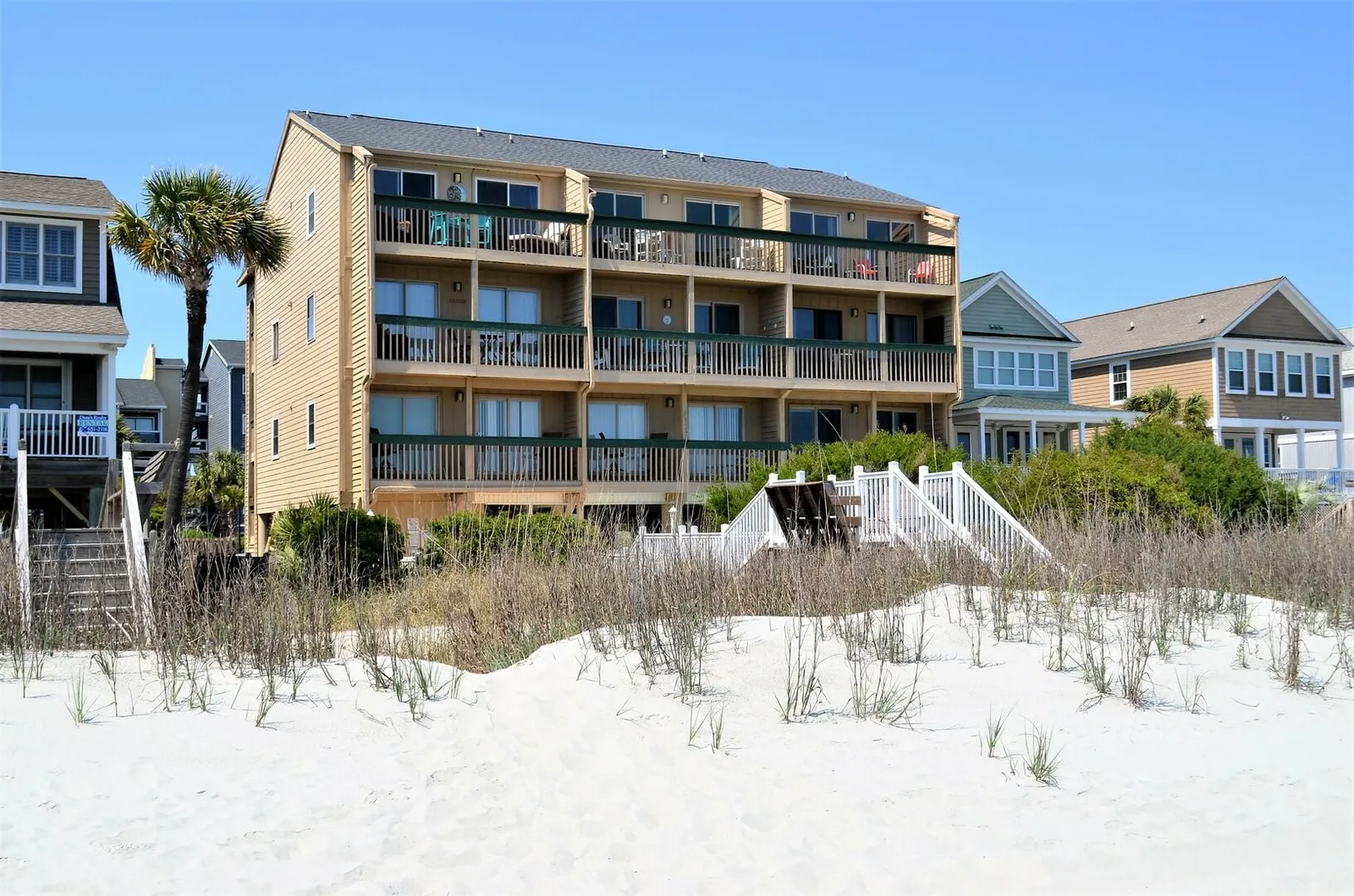 Sandfiddler 102 photo 24