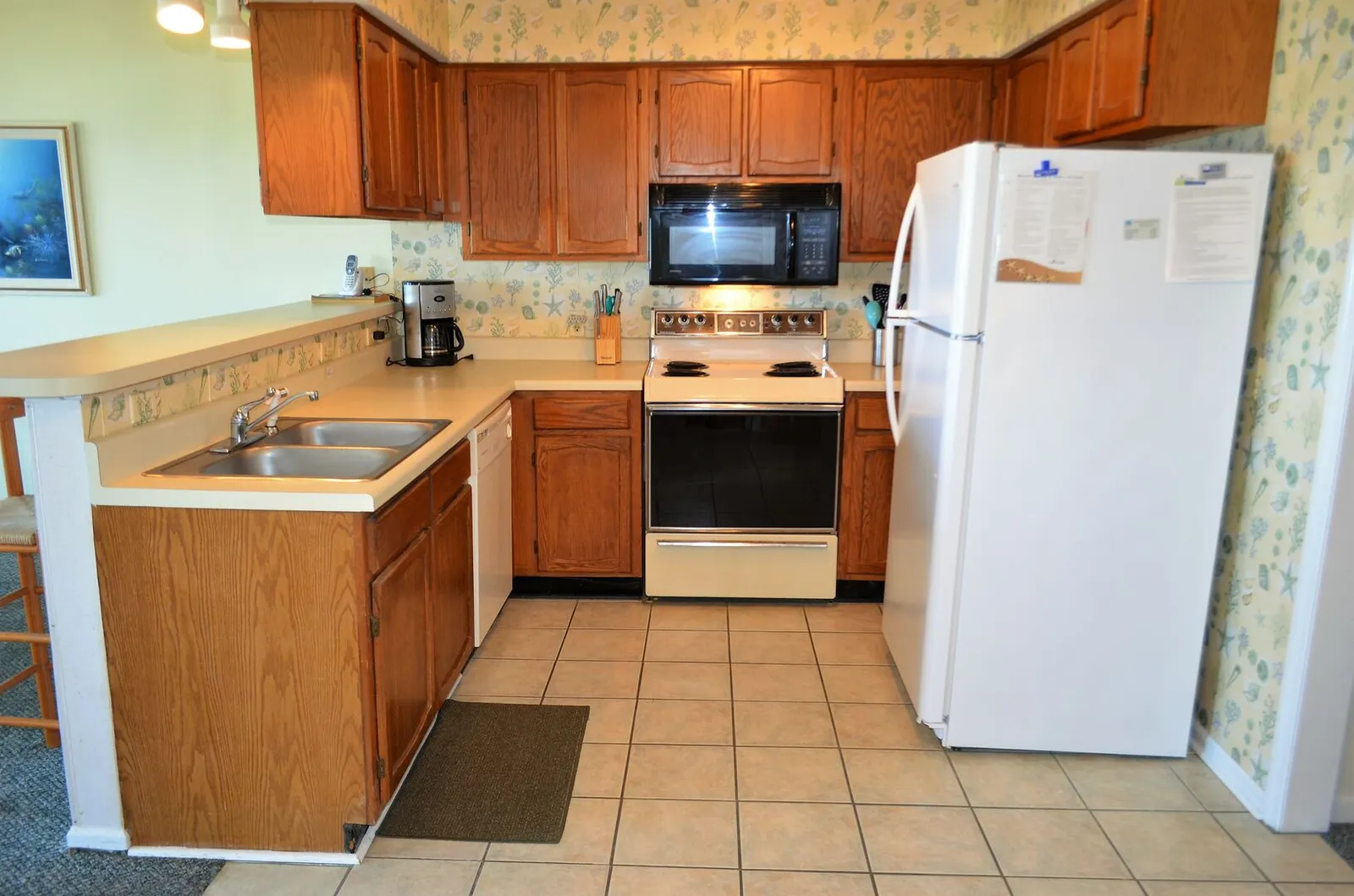Sandfiddler 102 photo 6