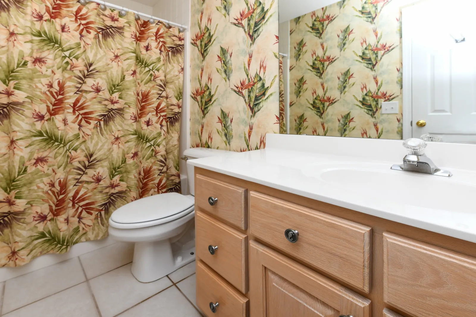 Seaborn photo 24